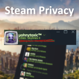 Steam Privacy